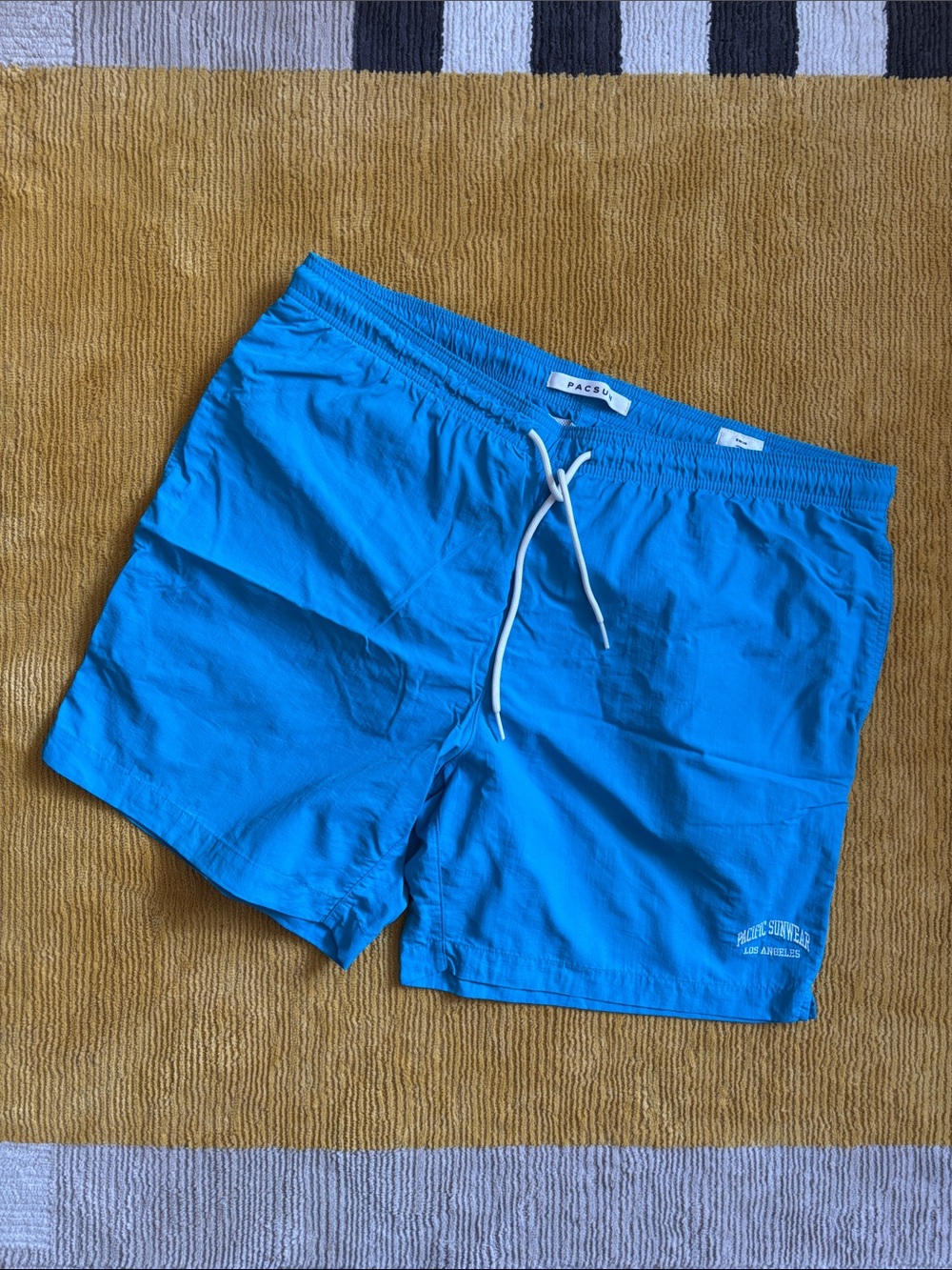 Pacsun Swim Shorts
